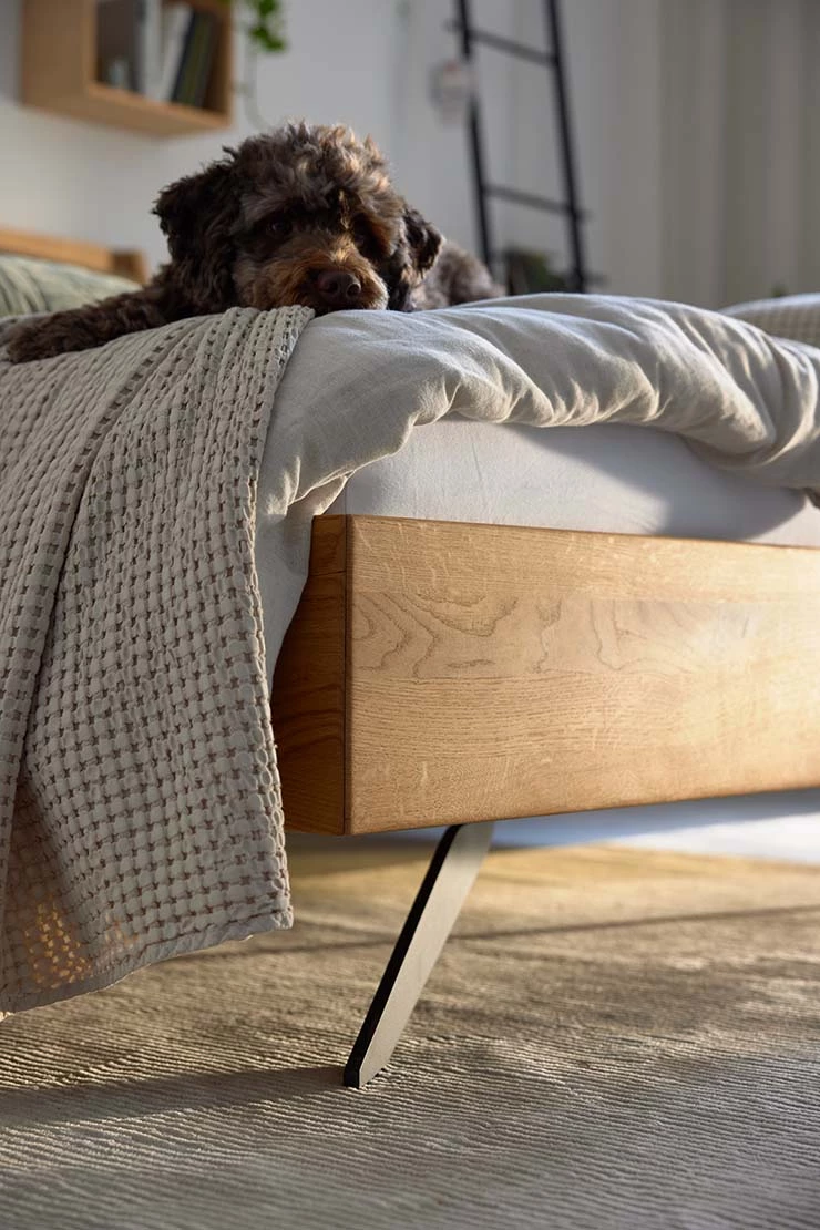 Ein Bild aus dem ADA Shooting welches einen Hund mit einer Decke auf einem Sofa in Nahaufnahme zeigt. 